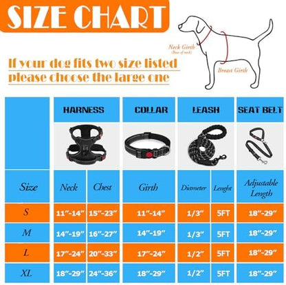LOBEVE No Pull Dog Harness, Collar & Leash Set - Image 3