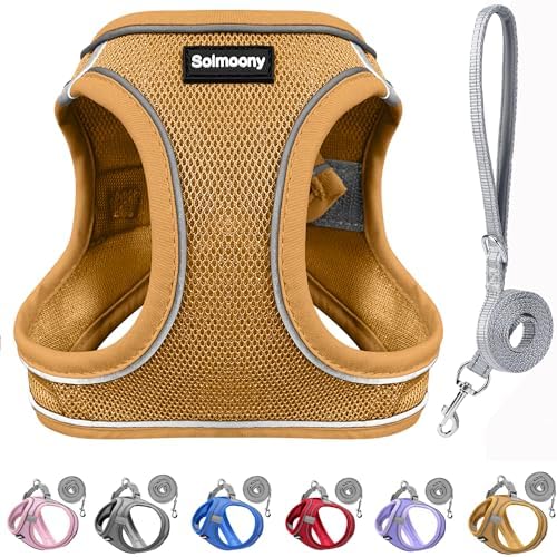 Solmoony Sparkly Medium Dog Harness and Leash Set, Step in Soft Light Puppy Vest by SOLMOONY