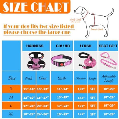 LOBEVE No Pull Dog Harness, Collar & Leash Set - Image 3