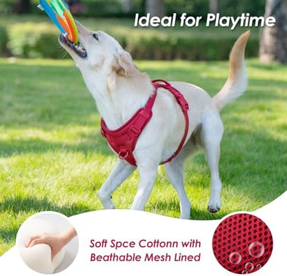 Sunraymascota No Pull Dog Harness - Image 6