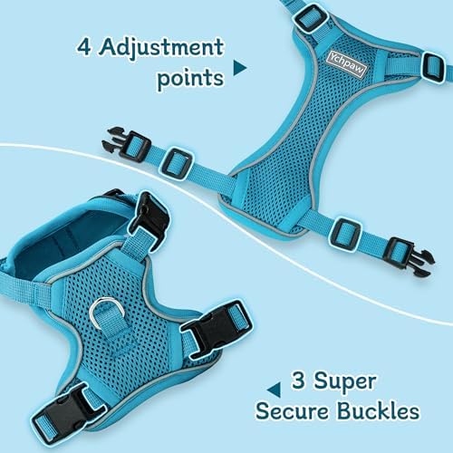 Small Dog Harness and Leash Set, Adjustable Small Sized Pet Vest - Image 3