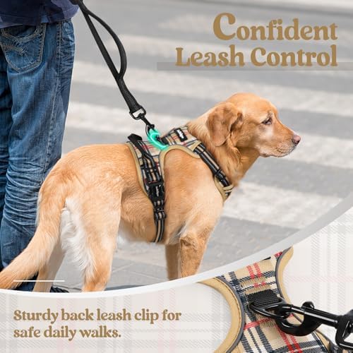 rabbitgoo Dog Harness, No Pull for Large Dogs - Image 6