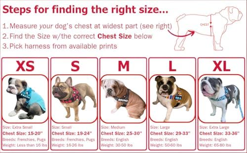 BULLHUG Adjustable Dog Harness– No Pull, No Choke – - Image 2