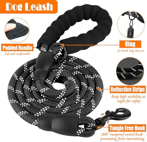 LOBEVE No Pull Dog Harness, Collar & Leash Set - Image 5