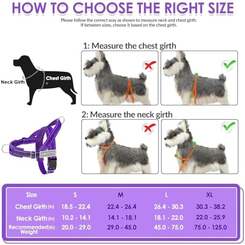 SlowTon No Pull Dog Harness and Leash Set - Image 6