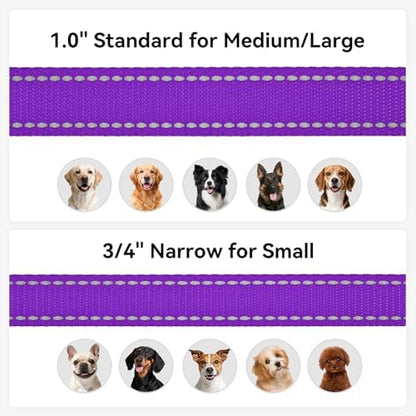 Joytale Reflective Dog Leash for Small Dogs, 5 FT x 3/4" - Image 6
