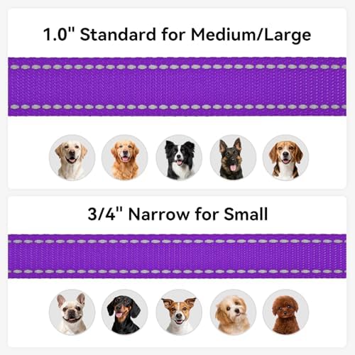 Joytale Reflective Dog Leash for Medium & Large Dogs, 6 FT x 1" - Image 6