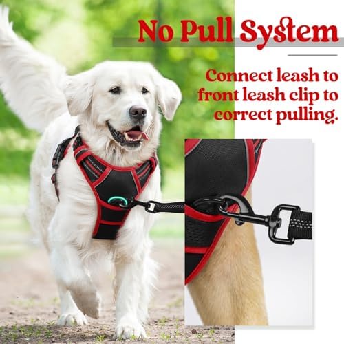 rabbitgoo Dog Harness, No Pull for Large Dogs - Image 6