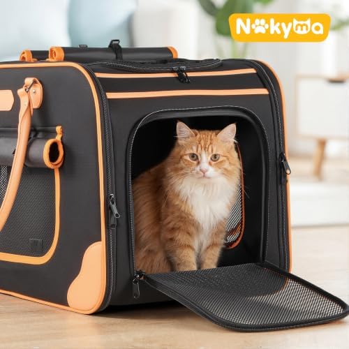 Large Cat Carrier Soft Sided Pet Carrier - Image 4