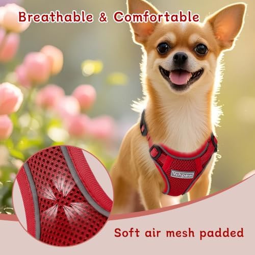 Small Dog Harness and Leash Set, Adjustable Small Sized Pet Vest - Image 5