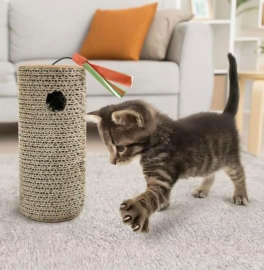Cat Scratching Board by Unknown
