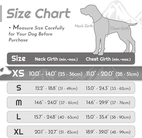 Eagloo Dog Harness for Small Dogs, No Pull Pet Vest - Image 2