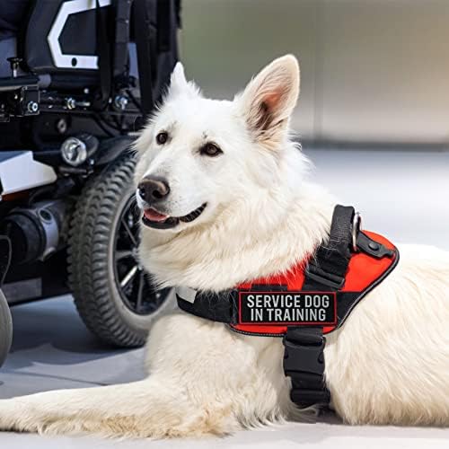 2 Pcs Reflective Service Dog in Training Patch Set - Image 7