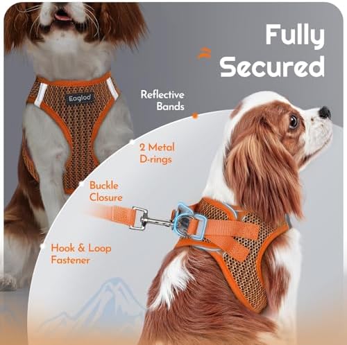 Eagloo Small Dog Harness and Leash Set, Step in Extra Small Puppy Pet Vest - Image 6