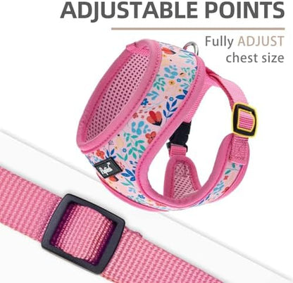 PUPTECK Small Dog Harness and Leash Set No Pull - Image 3