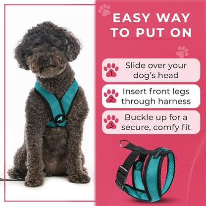 Gooby Comfort X Head-in Dog Harness, Choke-Free - Image 6