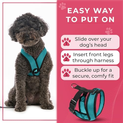 Gooby Comfort X Head-in Dog Harness, Choke-Free - Image 6