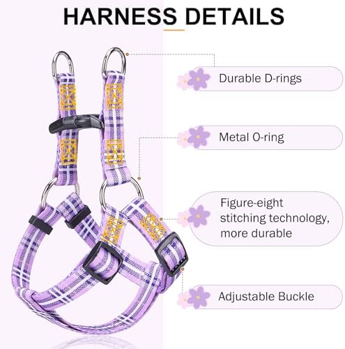 BEAUTYZOO No Pull Dog Harness and Leash Set - Image 2