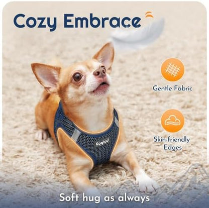 Eagloo Small Dog Harness and Leash Set, Step in Small Sized Puppy Pet Vest - Image 4