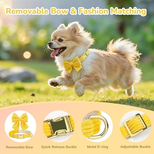 Small Dog Collar Harness and Leash Set, Dog Harness no Pull - Image 4