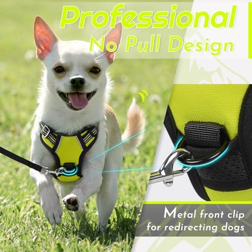 Eagloo Dog Harness for Small Dogs, No Pull Pet Vest - Image 3