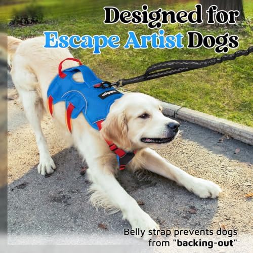 rabbitgoo Escape Proof Dog Harness - Image 2