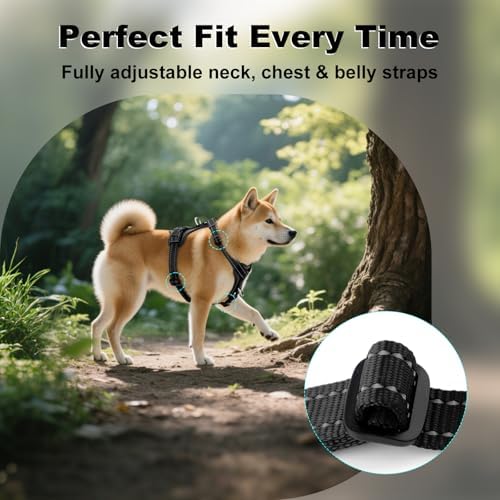 Plutus Pet No Pull Dog Harness - Image 5