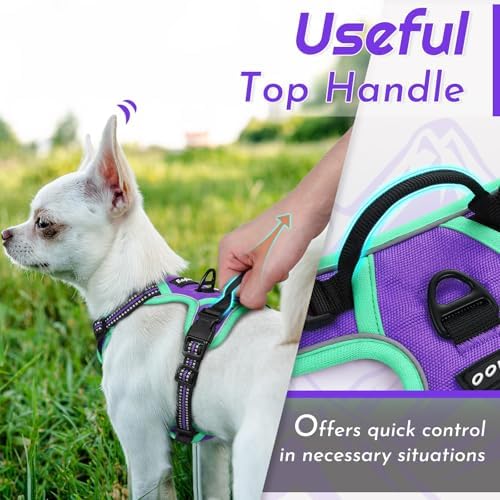 Eagloo Dog Harness for Small Dogs, No Pull Pet Vest - Image 4