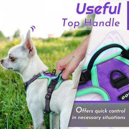 Eagloo Dog Harness for Small Dogs, No Pull Pet Vest - Image 4