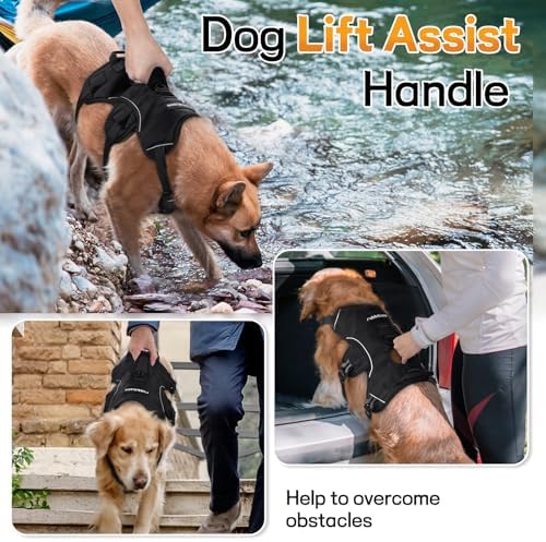 rabbitgoo Escape Proof Dog Harness - Image 3