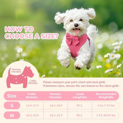 Small Dog Collar Harness and Leash Set - Image 2