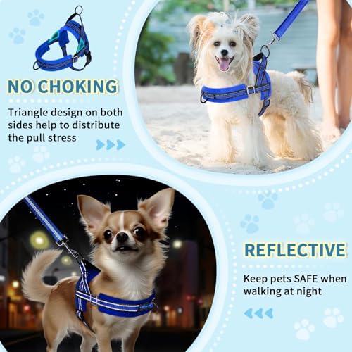 Lukovee Small Dog Harness and Leash Set, No Pull Soft Padded Vest - Image 6