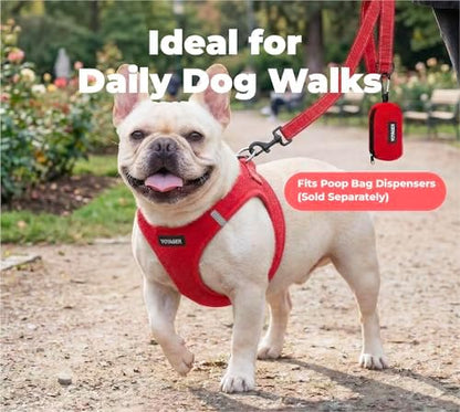 Best Pet Supplies Voyager Nylon Dog Leash - Image 3