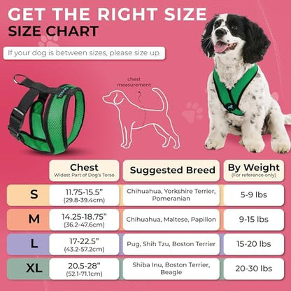 Gooby Comfort X Head-in Dog Harness, Choke-Free, Hunter Green - Image 3