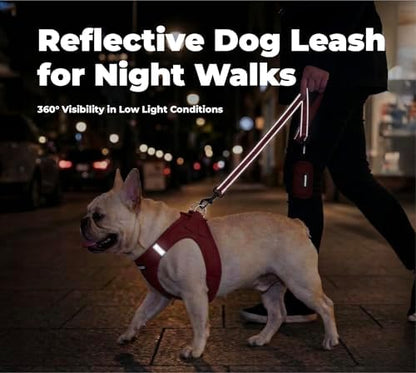 Best Pet Supplies Voyager Nylon Dog Leash - Image 4