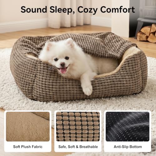 GASUR Dog Beds for Small Dogs - Image 7