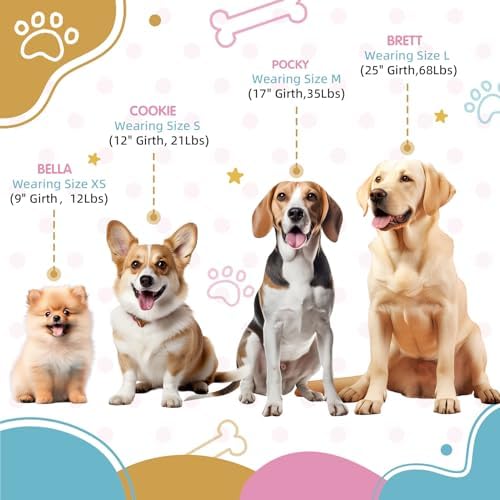 Blue Pink Tri-Color Small Dog Harness, Adjustable Step-in - Image 3
