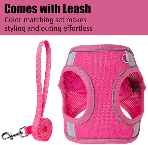 Dog Harness for Small Medium Sized Dog, Puppy Harness and Leash Set Training - Image 6