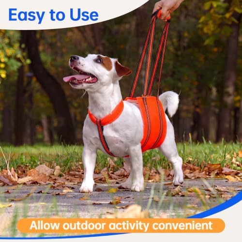 PAWsay Adjustable Dog Sling for Medium Dog Hind Leg Support - Image 4