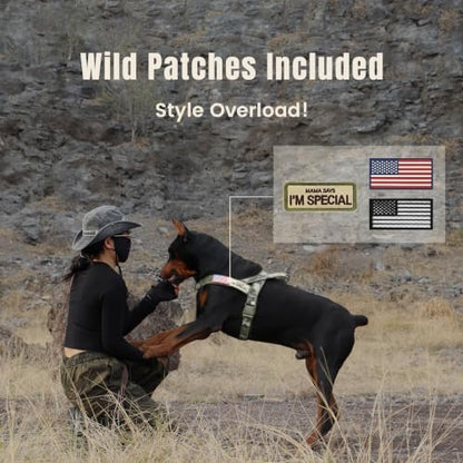 Forestpaw No Pull Dog Harness - Image 6