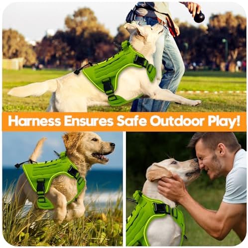 Heavy-Duty Tactical Dog Harness - Image 6