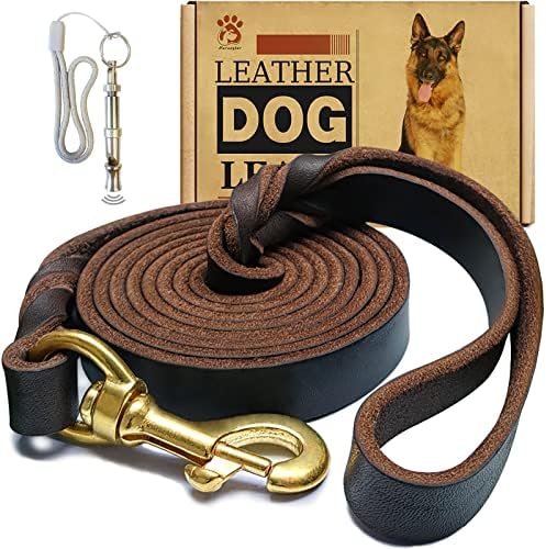 Leather Dog Leash - 6ft x 1/2 inch by Lovedogsasmuchasyoudo