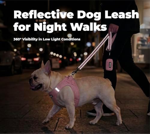 Best Pet Supplies Voyager Nylon Dog Leash - Image 4