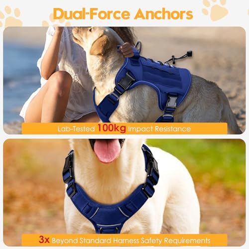 Heavy-Duty Tactical Dog Harness - Image 4