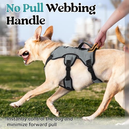 rabbitgoo Escape Proof Dog Harness - Image 4