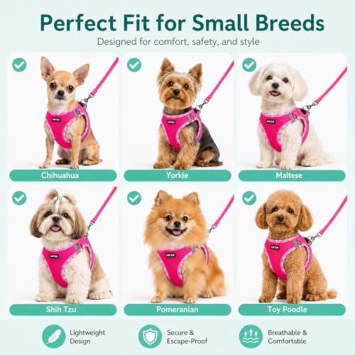 AMTOR Small Dog Harness with Leash Set, No Escape Easy Walk Puppy Harnesses - Image 3