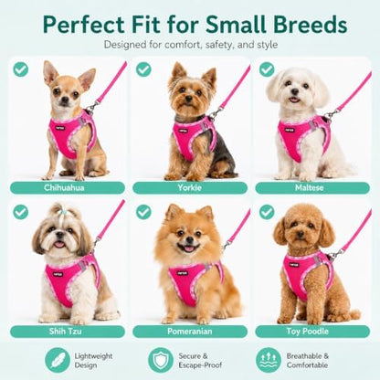 AMTOR Small Dog Harness with Leash Set, No Escape Easy Walk Puppy Harnesses - Image 3