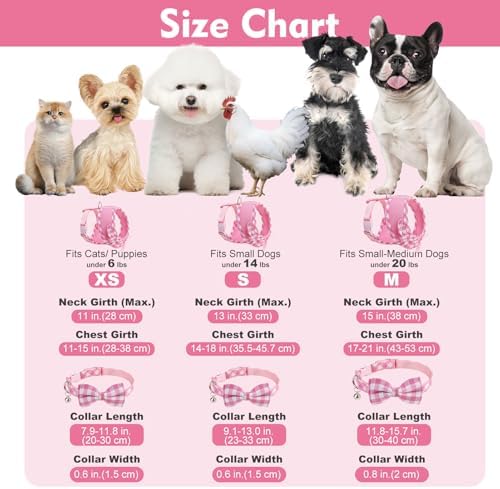 EXPAWLORER Step-in Dog Harness Small Sized Collar and Leash Set - Image 5