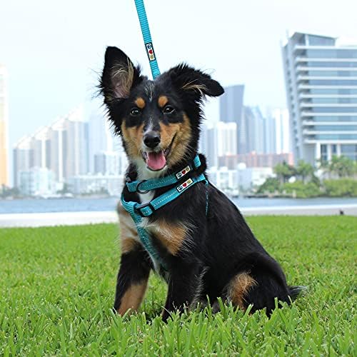 Pawtitas Recycled Reflective Step-in Dog Harness – Adjustable No-Pull Vest - Image 2