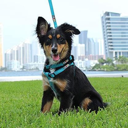 Pawtitas Recycled Reflective Step-in Dog Harness – Adjustable No-Pull Vest - Image 2